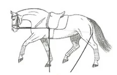 Ilustracja do odpowiedzi A