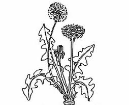Ilustracja do pytania
