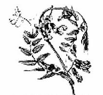 Ilustracja do pytania