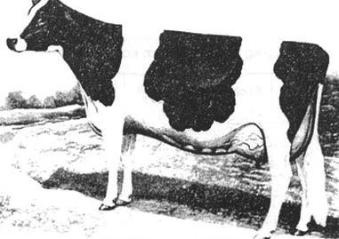 Ilustracja do pytania