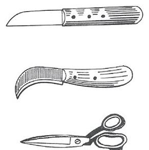 Ilustracja do pytania 3