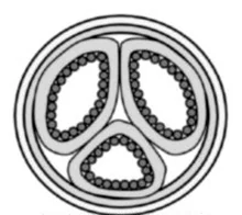 Ilustracja do pytania 26