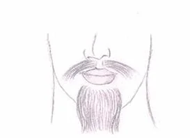 Ilustracja do odpowiedzi D