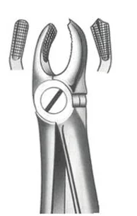 Ilustracja do odpowiedzi B