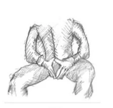 Ilustracja do odpowiedzi D
