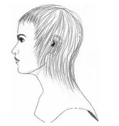 Ilustracja do odpowiedzi C