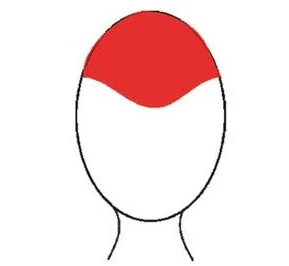 Ilustracja do odpowiedzi D