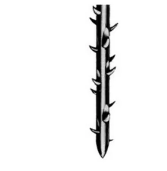 Ilustracja do odpowiedzi D