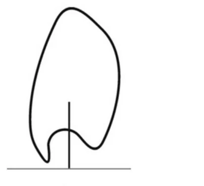 Ilustracja do odpowiedzi B