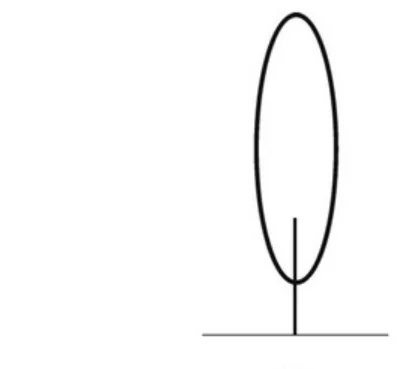Ilustracja do odpowiedzi D