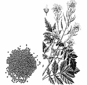Ilustracja do pytania 23