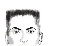 Ilustracja do odpowiedzi A