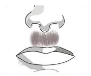 Ilustracja do odpowiedzi B