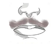 Ilustracja do odpowiedzi D
