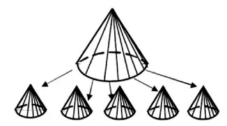 Wariant B