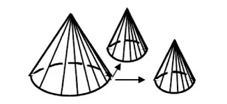 Wariant D