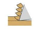 Wariant B