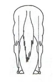 Wariant C