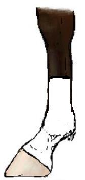 Ilustracja do pytania 3