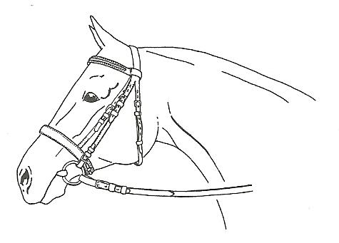 Ilustracja do pytania 7