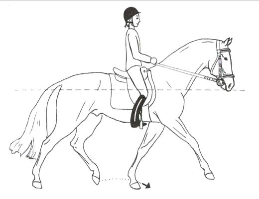 Ilustracja do odpowiedzi C