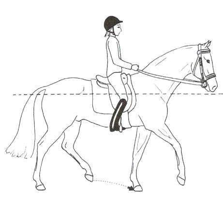 Ilustracja do odpowiedzi D