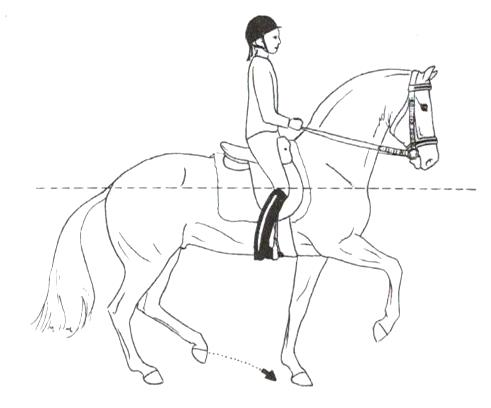 Ilustracja do odpowiedzi A