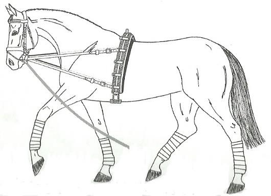 Ilustracja do pytania 5