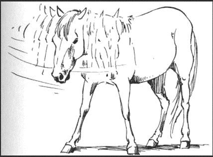 Ilustracja do pytania 7