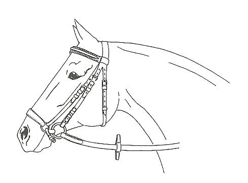 Ilustracja do pytania 2