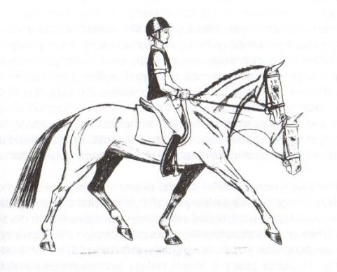Ilustracja do pytania 4