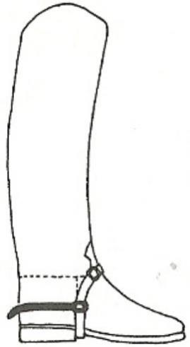 Ilustracja do odpowiedzi C