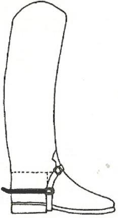 Ilustracja do odpowiedzi D