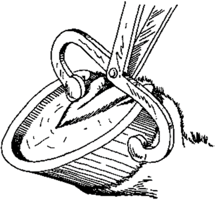 Ilustracja do pytania 2