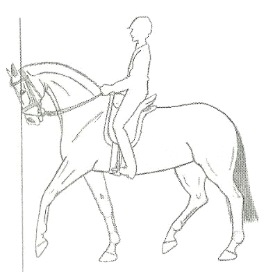 Ilustracja do pytania 12
