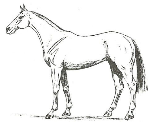 Ilustracja do pytania 10