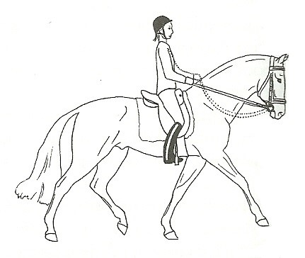 Ilustracja do pytania 7