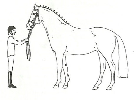 Ilustracja do pytania 17