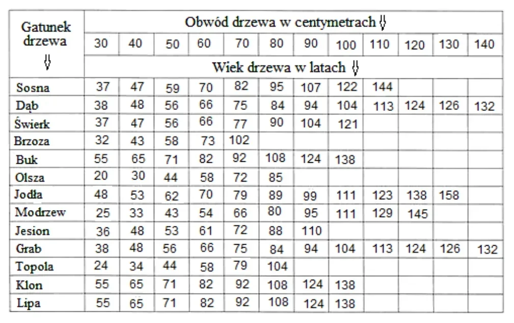 Tabela wieku drzew różnych gatunków w zależności od obwodu pnia od 30 do 140 cm