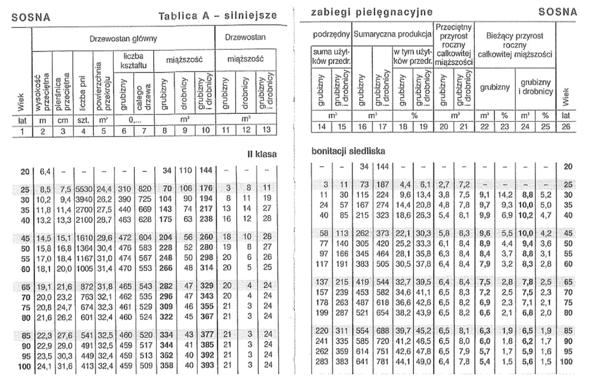 Tablica zasobności dla sosny, II klasa bonitacji, tablica A - silniejsze zabiegi pielęgnacyjne