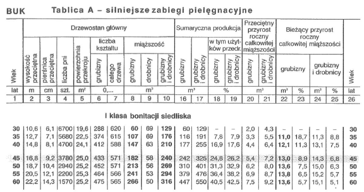 Tablica zasobności dla buka, I klasa bonitacji, tablica A - silniejsze zabiegi pielęgnacyjne