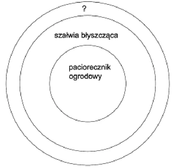 Schemat okrągłej rabaty z pasami roślin i obwódką oznaczoną znakiem zapytania