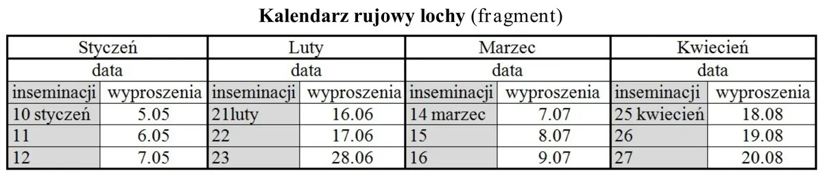 Fragment kalendarza rujowego lochy z datami inseminacji i wyproszenia od stycznia do kwietnia