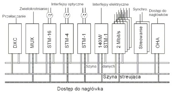 Schemat struktury sieci z blokami DXC, MUX, STM i szynami