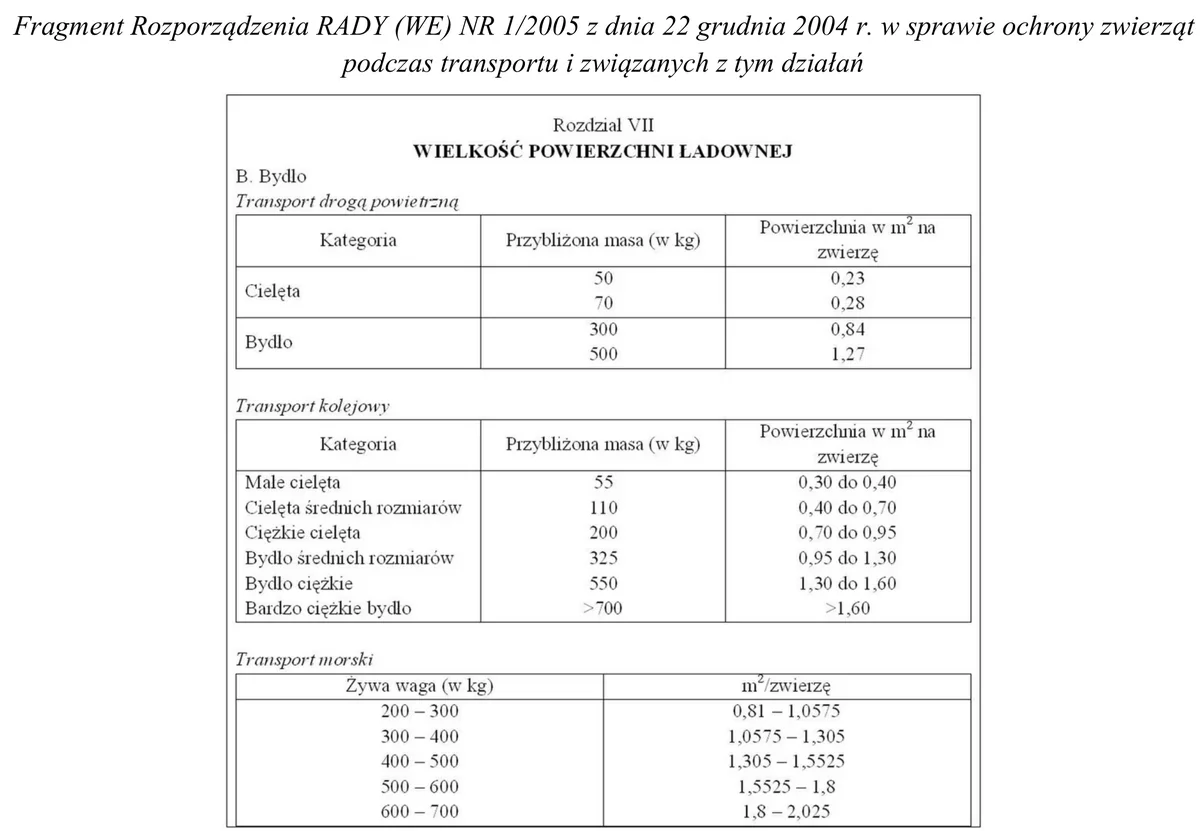 Fragment rozporządzenia o ochronie zwierząt podczas transportu - tabele powierzchni ładownej dla bydła