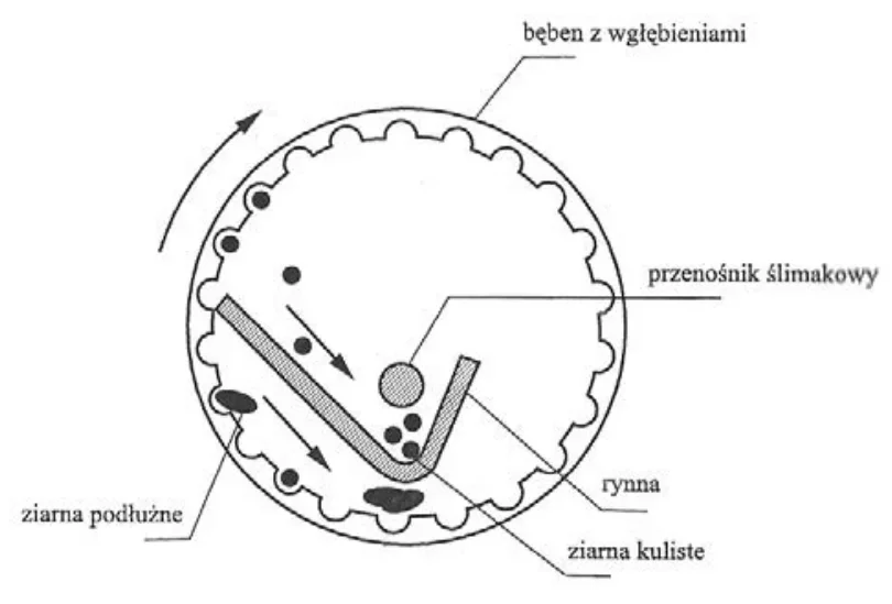 Schemat bębna z wgłębieniami, przenośnikiem ślimakowym i rynną oraz ziarnami podłużnymi i kulistymi