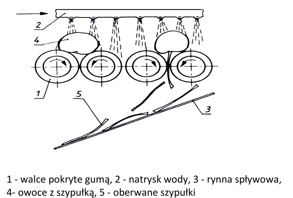 Schemat urządzenia z walcami, natryskiem wody i rynną spływową z opisem oznaczeń 1-5