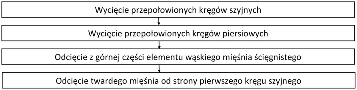 Schemat czterech kolejnych czynności rozbioru