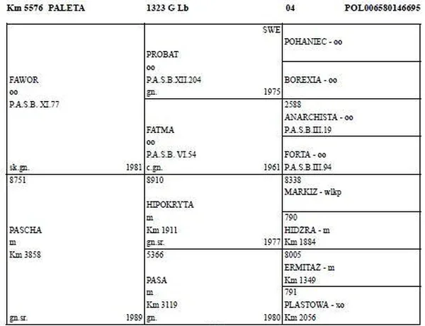 Rodowód klaczy Paleta