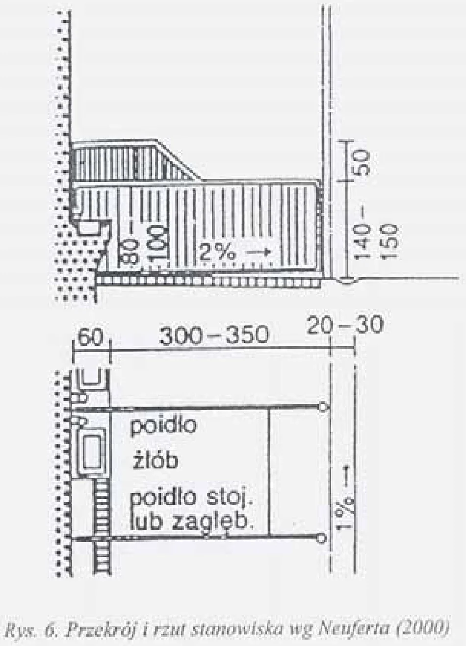 Przekrój i rzut stanowiska dla konia z wymiarami
